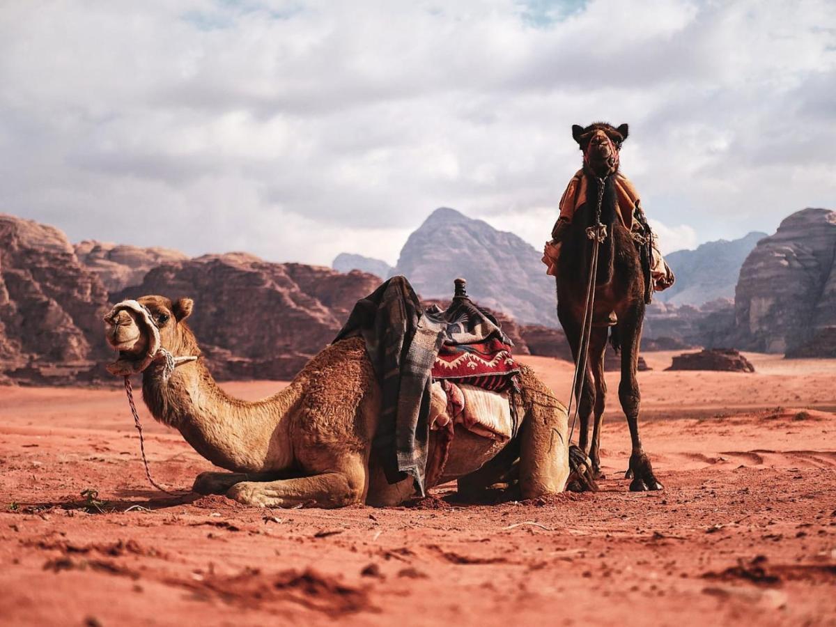 Wadi Rum Nights Esterno foto