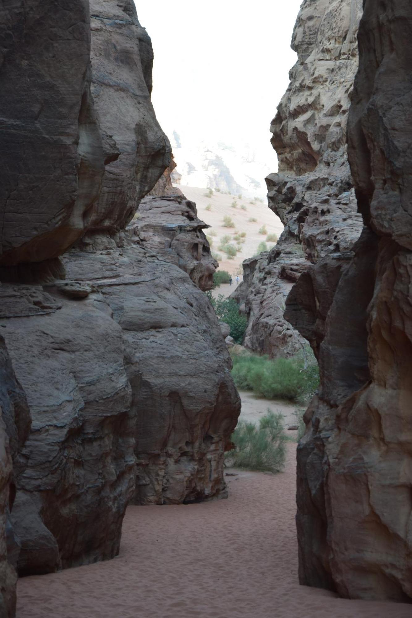 Wadi Rum Nights Esterno foto